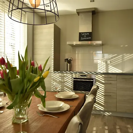 فيلة Luxurious In Schoorl With Garden *