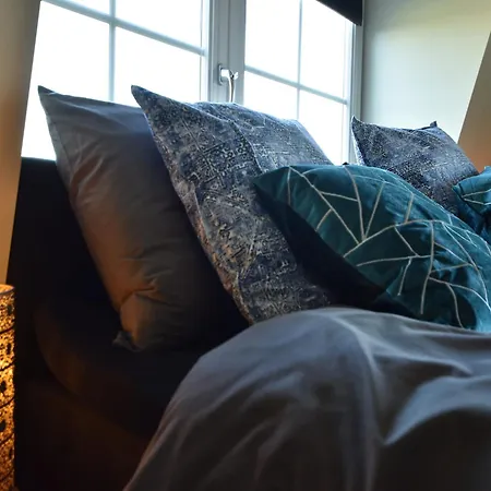 Luxurious In Schoorl With Garden Villa *