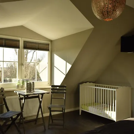 Willa Luxurious In Schoorl With Garden