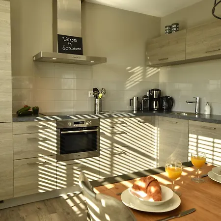 Willa Luxurious In Schoorl With Garden *